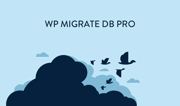 WP Migrate DB Pro Theme & Plugin Files