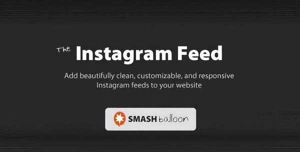 Custom Instagram Feed Pro Developer