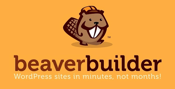 Beaver Builder Agency (All Pro Features included)