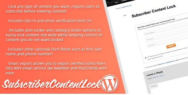 Subscriber Content Lock for WordPress - Newsletters