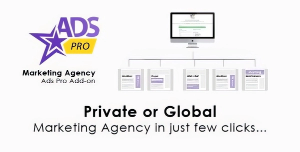 ADS PRO – WordPress Marketing Agency Add-on 1.1