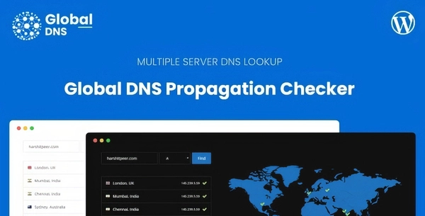 Global DNS WP Plugin 2.4